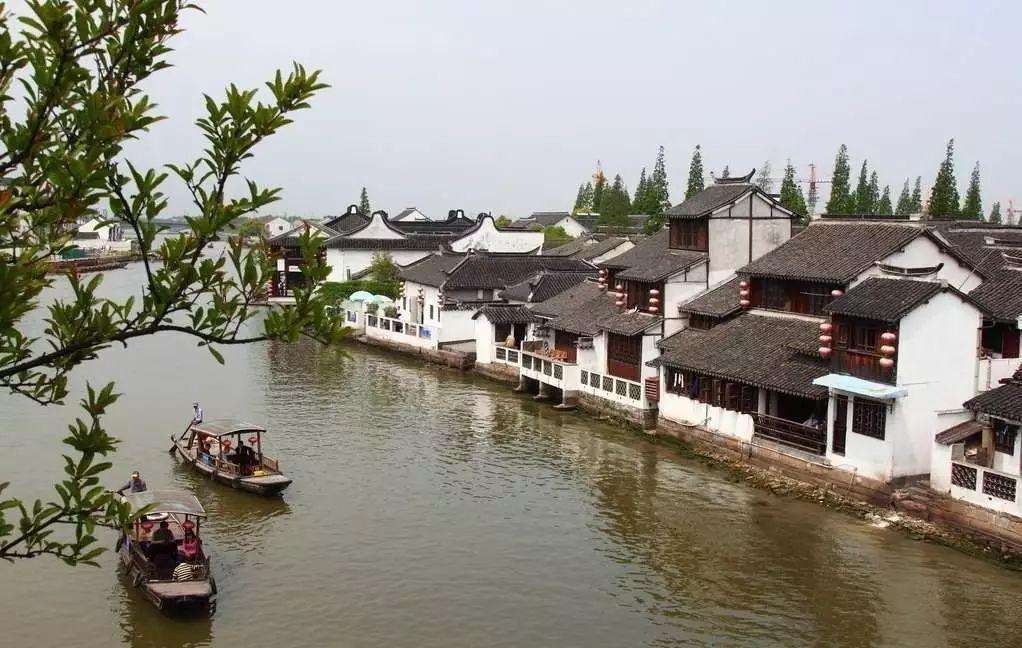 拯救精灵的土地8