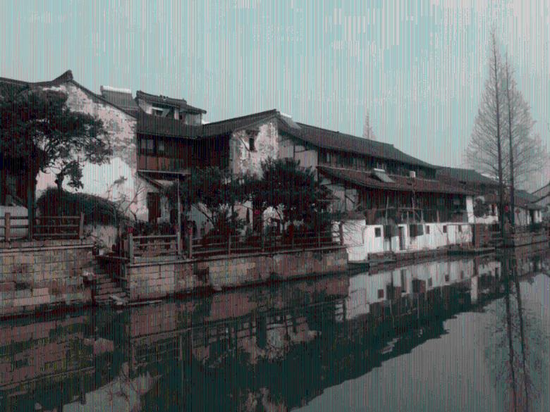 拯救枯树
